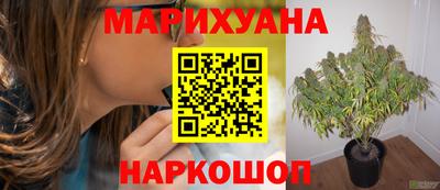 прущие крисы Севастополь