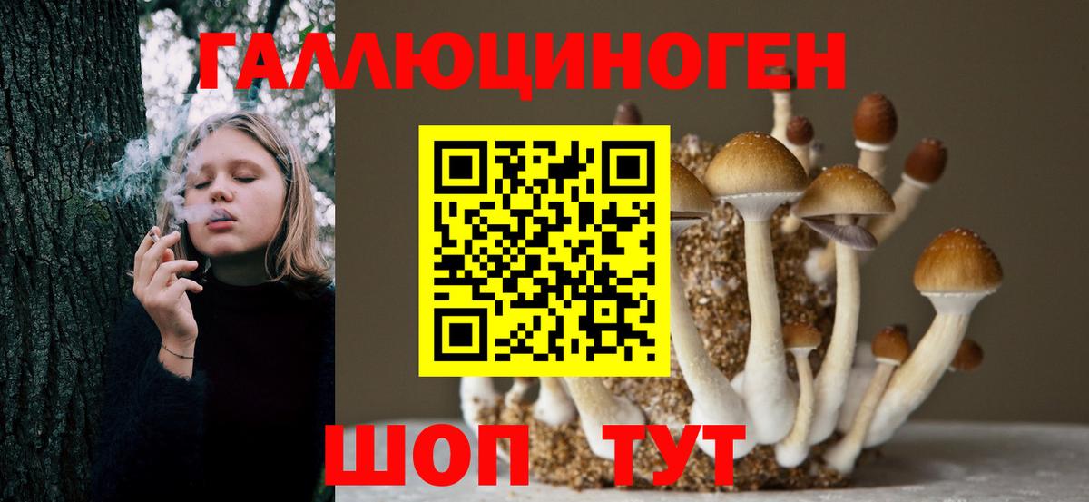 Галлюциногенные грибы Psilocybe  Галлюциногенные грибы Cubensis  Вход с VPN  Орёл 