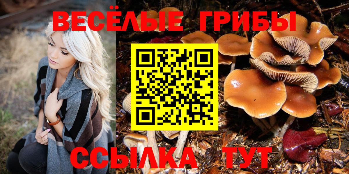Галлюциногенные грибы GOLDEN TEACHER Орёл